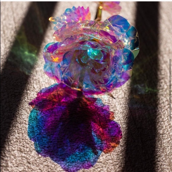 🌈🌹 iridescent multicolor rose flower rainbow - Picture 4 of 8